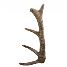 [특大] 러시아 전지